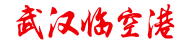 武汉临空港